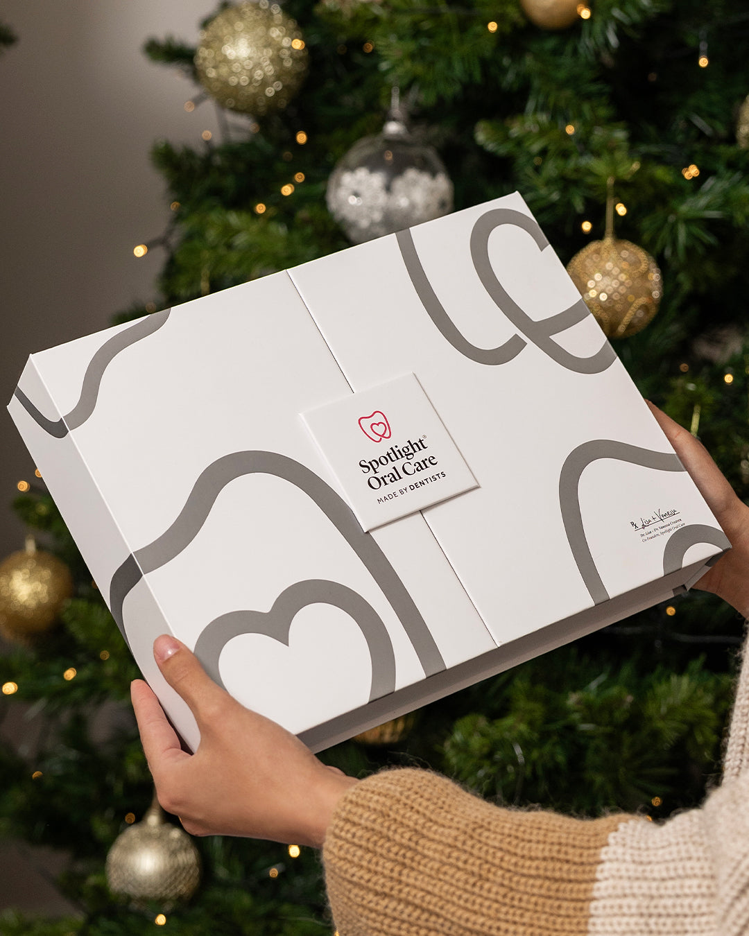Sonic Pro Luxury Christmas Gift Set