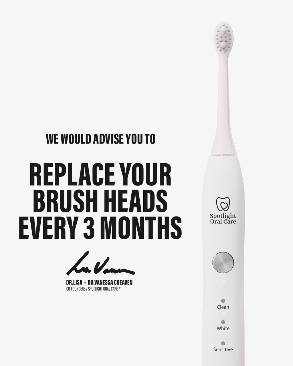 Sonic Toothbrush Replacement Heads - White