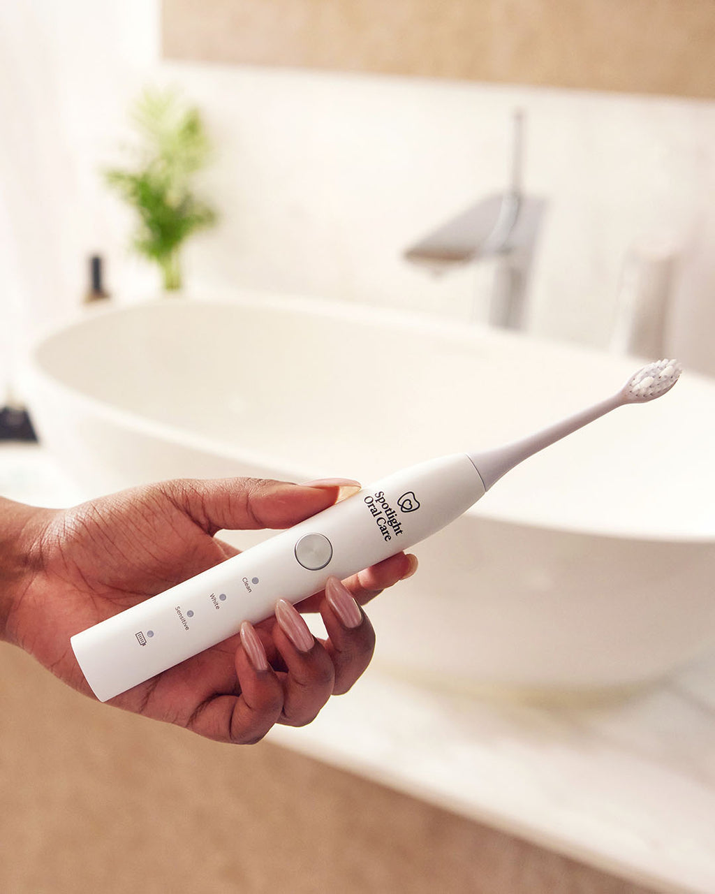 Sonic Toothbrush Replacement Heads - White